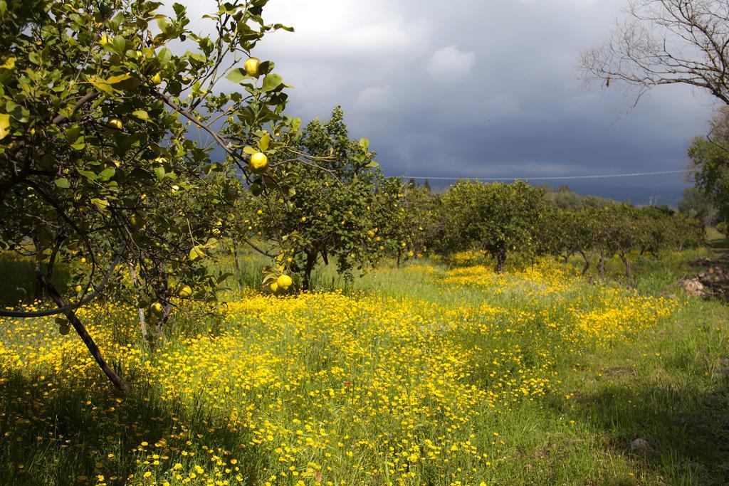 Il Melograno Villa San Leonardello Dış mekan fotoğraf