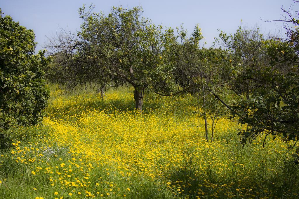 Il Melograno Villa San Leonardello Dış mekan fotoğraf